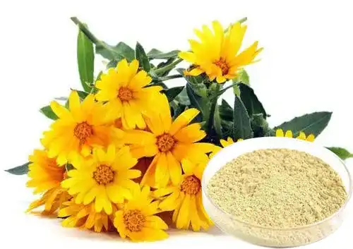 Is Wild Chrysanthemum Extract Safe?